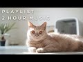 [ Playlist ]テンションを上げたい時のポップな洋楽三時間🕺♪｜Vlog #7