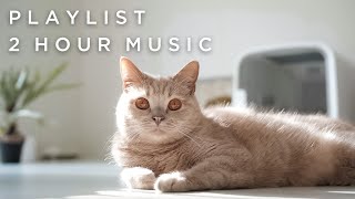 [плейлист]Chillin' vibes music ｜Музыка для поднятия настроения