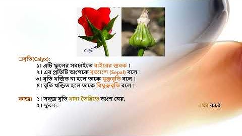 Class: 9 & 10, Biology (Lecture:10),Chapter:11,Part:02,Shayla Parvin