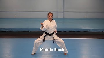 White Belt 4 Basic Blocks