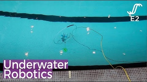 E2@MIT: Underwater Robotics