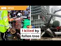 1 killed in fallen tree incident in downtown kl