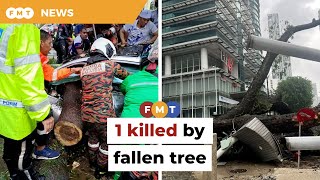 1 killed in fallen tree incident in downtown KL