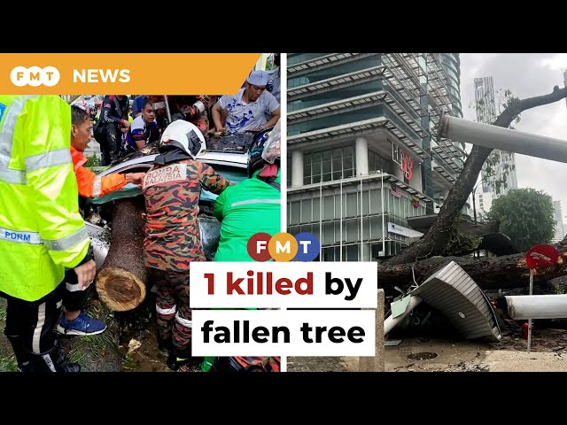 1 killed in fallen tree incident in downtown KL class=
