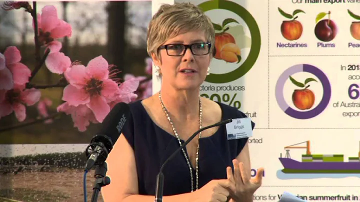 Jill Briggs