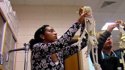 PLTW Biomedical Sciences