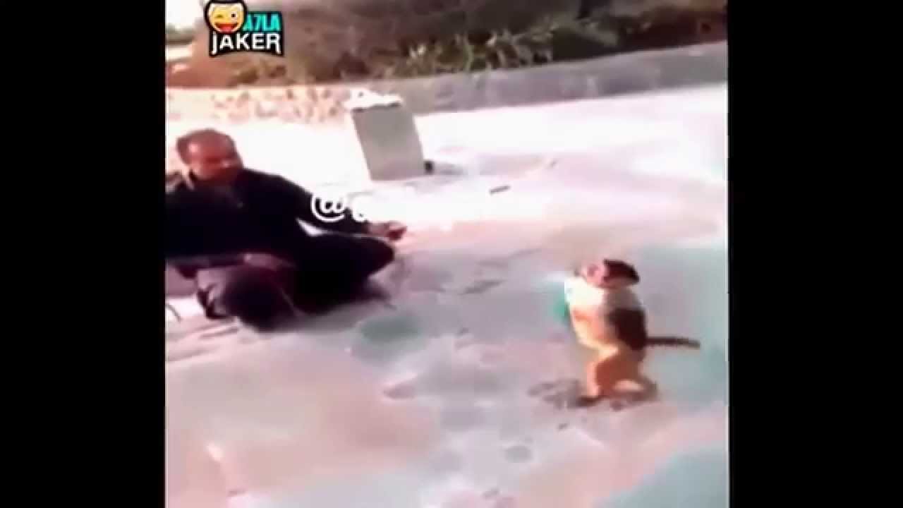 بدي وحد يكون دمه بارد