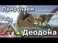 ПРИРУЧАЕМ ДЕОДОНА В ARK SURVIVAL EVOLVED MOBIL! Как приручить деодорант в ark! Где найти!