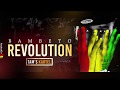 Tamsir   rvolution  new single