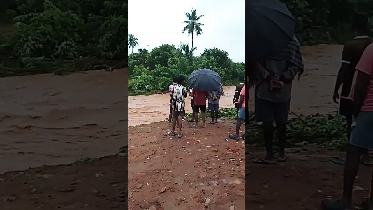 Reddigudem,mamdalam,ntrjillalo,pomgiporlutunna vagulu