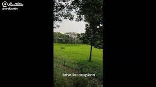 Bulung Sinartar@karo@tarokjambe