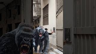 Gorrilla in the street prank 😂😂 #funny #comedy #hablamepri