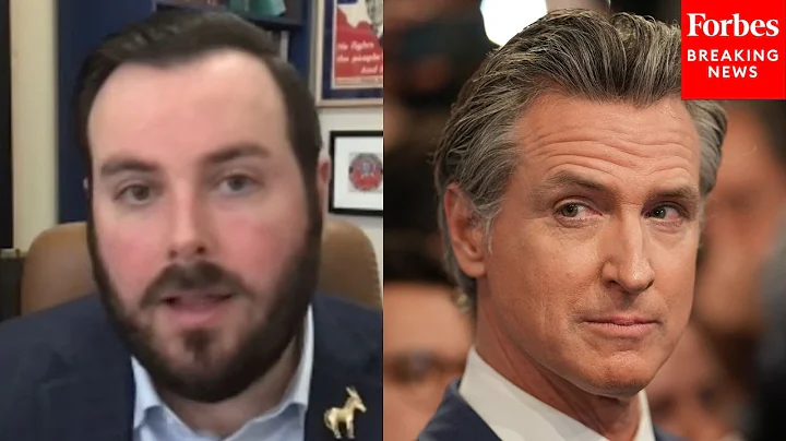 Texas Democratic Party Chair Asked If Other Blue States Should Follow Newsom In Gerrymandering