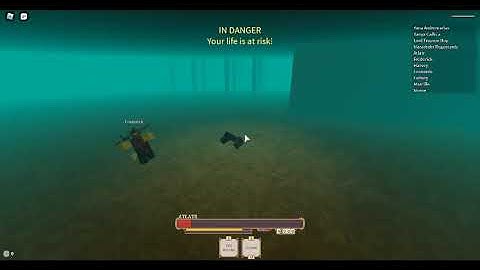 exploiter report - rogue lineage