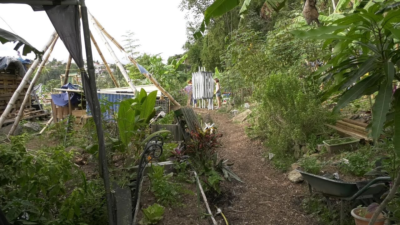 Le Jardin Partage De Trenelle Citron Youtube