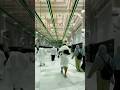 Masha Allah makkah live madina live #makkah​​ #madina​​ #shorts​​ #hajjlive​​ #shortvideo​​ #mecca