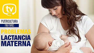 ¿Aman los bebés la lactancia materna?