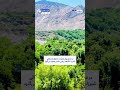 طبیعت دلنواز ولسوالی شیرزاد ولایت ننگرهار در فصل بهار زیبایی خاص به خود می‌گیرد
