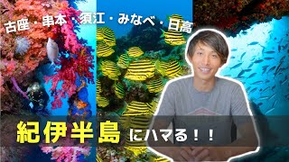 感動の宝庫！紀伊半島の海を潜り歩く - YouTube
