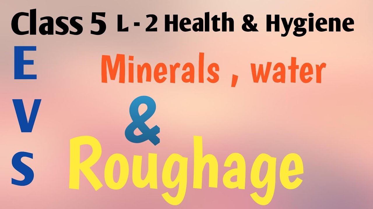 Minerals , Water and Roughage // Class 5 EVS // L 2 YouTube
