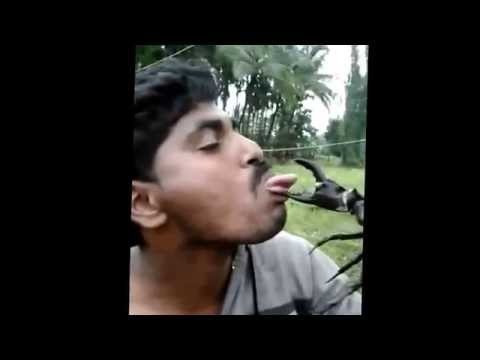 funny-epic-indian-fail-/-slap-video-compilation-full-new-2016