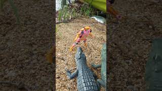 transformers missing link C-07 ARCEE (Rust-E-lita) review