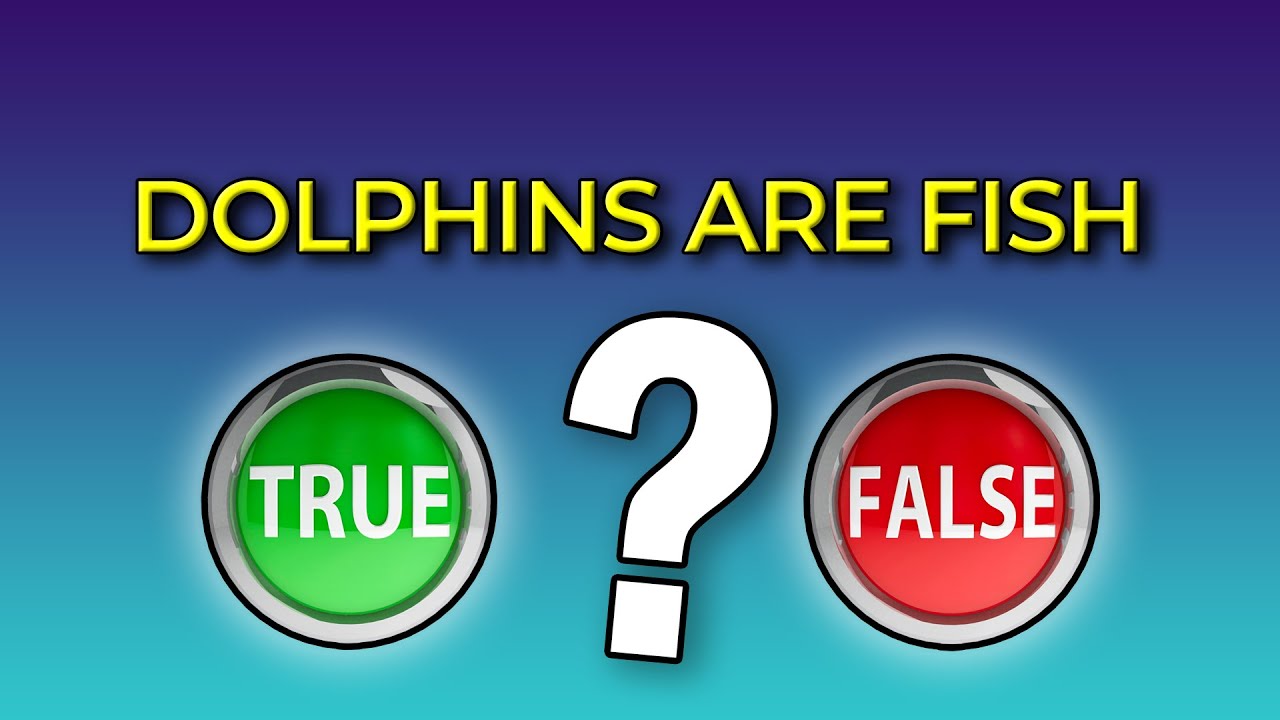 True or False | Part 2 | Quiz | 40 Interesting Facts - YouTube