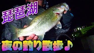 琵琶湖　ちょろっと夜の釣り散歩！バス君に遊んでもらう♪　南湖西岸　おかっぱり　バス釣り