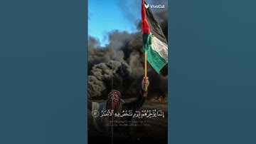 قرآن كريم - فلسطين