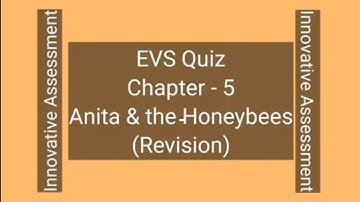 Innovative Assessment (Anita And The Honeybees) EVS Class-4 Chapter-5 By: Tarkeshwar Pandey #EVS_4