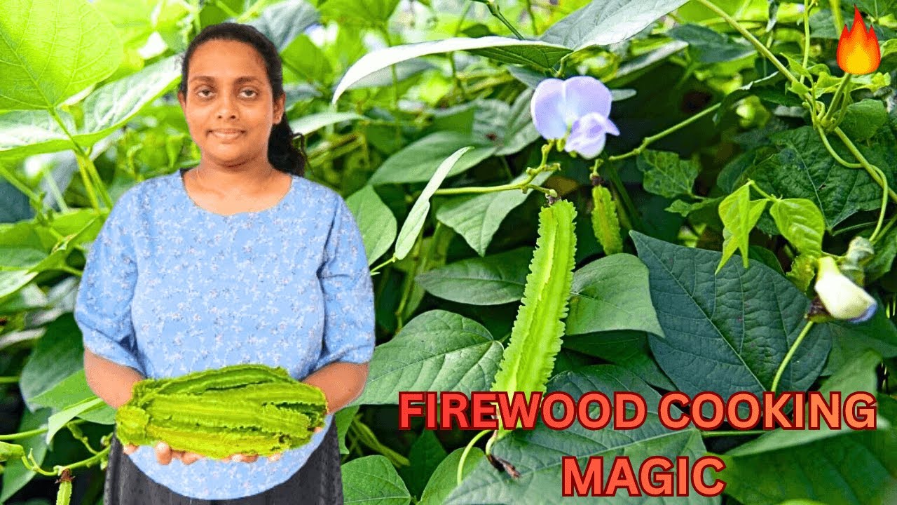 Village Style Winged Bean Curry & Fresh Salad | Firewood Flavors