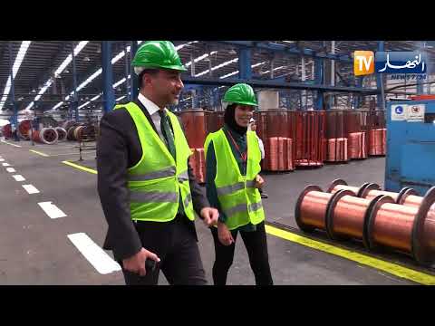 السويدي للكابلات كيف نجحت أكبر مستثمرة مصرية في العالم بالجزائر