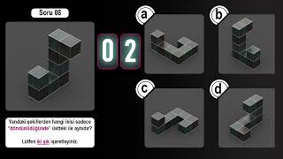 MRT (Mental Rotation Test)