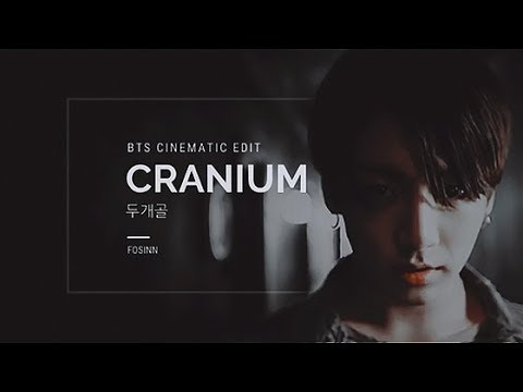 CRANIUM ( 두개골 ) BTS AU CRANIUM ( 두개골 ) BTS AU