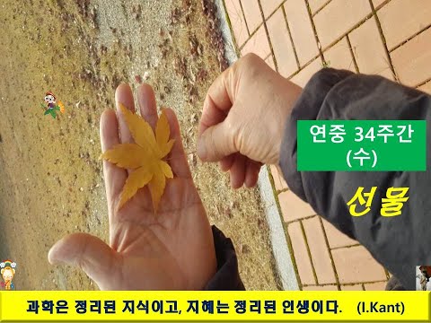 영상썸네일