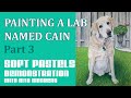 How to Paint a Dog Portrait (Part 3) - Painting a Labrador Retriever in Pastel