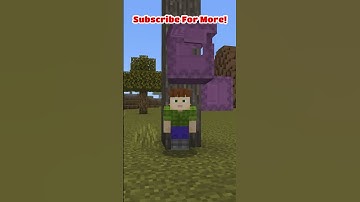 Weird Things I Can Do With Shulker Boxes In Minecraft! #shorts