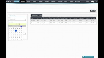 Master POS Summary Sales Report
