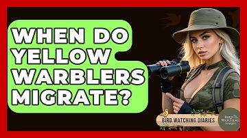 When Do Yellow Warblers Migrate? - Bird Watching Diaries