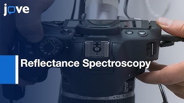 Reflectance Spectroscopy for Capillary Refill Test Under One