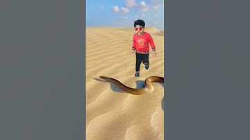 snake #shorts #shortvideo #snake #shaheerjutt