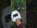 Poin lembat mas e belum poin babi lagi