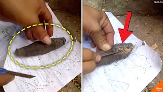 Download lagu Merinding Lihat Proses Penarikan Teluh, Ketika Dibuka Ini yang Bikin Warga +62 Geger.!! MP3 Download lagu Merinding Lihat Proses Penarikan Teluh, Ketika Dibuka Ini yang Bikin Warga +62 Geger.!!