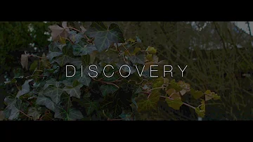 AK - Discovery
