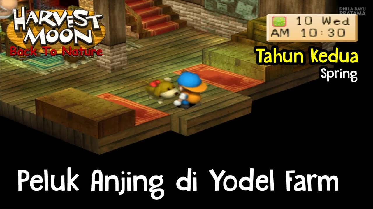 Peluk Anjing di Yodel Farm Harvest Moon Back To Nature YouTube
