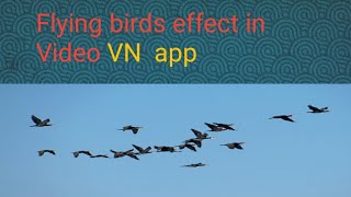 How to edit birds png video editing | flying birds effect in Video screenshot 4