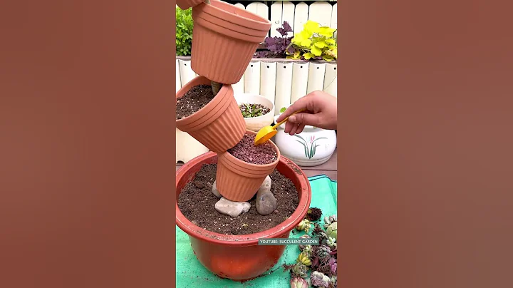 Succulent DIY Ideas 多肉植物| 다육이들 | Suculentas - 天天要聞