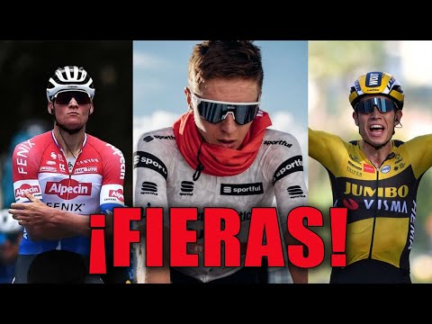 Vídeo: Geraint Thomas guanya en solitari a l'etapa 2 de Tirreno-Adriatico