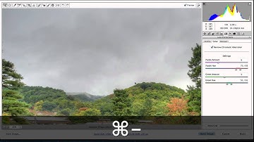 Removal of Chromatic Aberration with Camera RAW