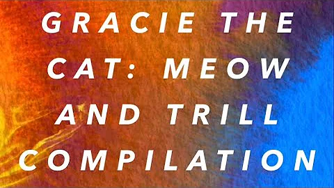 Watch the video about Gracie the cat